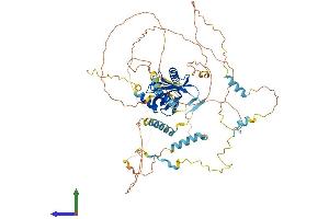 AlphaFold protein structure predicition of Mouse Recombinant Numb Protein, UniprotID Q9QZS3 (NUMB Protein (AA 1-653) (His tag))