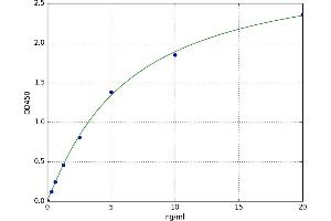 A typical standard curve (FNDC3B ELISA 试剂盒)