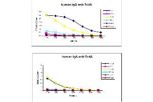Interpretation of results of six sera from hospitalized patients: pat-1: IgG pos, IgA pospat-2: IgG pos, IgA negpat-3: IgG pos, IgA pospat-4: IgG pos, IgA negpat-5: IgG neg, IgA negpat-6: IgG neg, IgA neg (Anti Clostridium Difficile Toxin A ELISA 试剂盒)