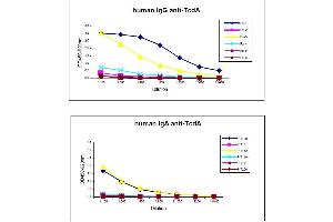 Anti Clostridium Difficile Toxin A ELISA Kit
