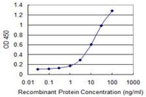 Detection limit for recombinant GST tagged SNAI1 is 0. (SNAIL 抗体  (AA 121-230))