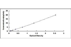 Typical standard curve (LRRFIP1 ELISA 试剂盒)