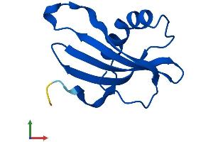 Protein Structure (PS) image for Cystatin B (Stefin B) (CSTB) (AA 1-98) protein (His tag) (ABIN7546945)