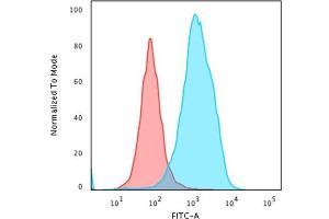 Flow Cytometric Analysis of paraformaldehyde-fixed HeLa cells using HSP60 Mouse Monoclonal Antibody (LK1) followed by goat anti-Mouse IgG-CF488 (Blue); Isotype Control (Red). (HSPD1 抗体)