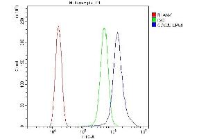 Flow Cytometry analysis of SiHa cells using anti-Cdc20 antibody (ABIN5518976).