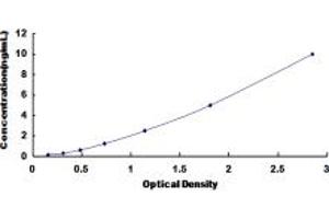 Typical standard curve (ABCC12 ELISA 试剂盒)