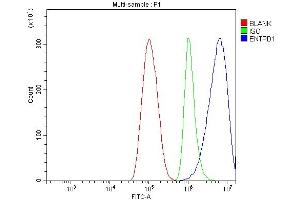 Flow Cytometry analysis of THP-1 cells using anti-CD39/ENTPD1 antibody (ABIN7602461).