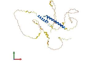 Protein Structure (PS) image for Atonal Homolog 1 (Drosophila) (ATOH1) (AA 1-351) protein (His tag) (ABIN7563327)