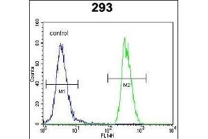 Flow Cytometry (FACS) image for anti-SRY (Sex Determining Region Y)-Box 2 (SOX2) (AA 251-284) antibody (ABIN6243285)