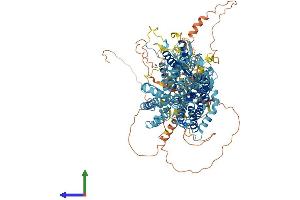 Protein Structure (PS) image for Solute Carrier Family 4, Sodium Bicarbonate Cotransporter, Member 4 (SLC4A4) (AA 1-1079) protein (His tag) (ABIN7555390)