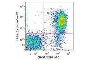 Flow Cytometry (FACS) image for Rat anti-Mouse IgD antibody (Biotin) (ABIN2667085) (大鼠 anti-小鼠 IgD Antibody (Biotin))