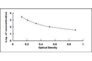Pro-Insulin Like Growth Factor II E-Peptide (IGFIIE) ELISA Kit