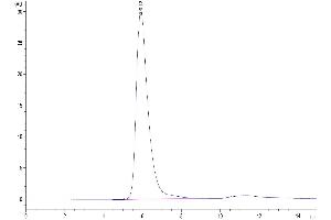 Size-exclusion chromatography-High Pressure Liquid Chromatography (SEC-HPLC) image for Sialic Acid Binding Ig-Like Lectin 10 (SIGLEC10) (AA 17-546) protein (Fc-Avi Tag) (ABIN7275611)