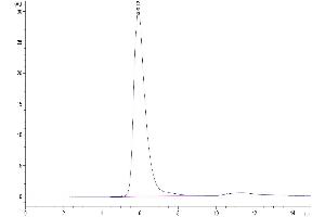 The purity of Human Siglec-10 is greater than 95 % as determined by SEC-HPLC. (SIGLEC10 Protein (AA 17-546) (Fc-Avi Tag))