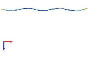 Tropomyosin Protein (AA 1-284) (His tag)