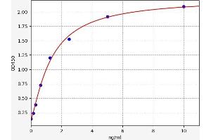 SLC25A5 ELISA 试剂盒