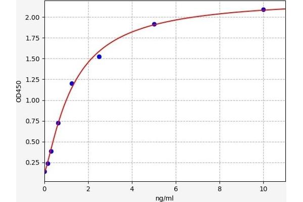 SLC25A5 ELISA 试剂盒