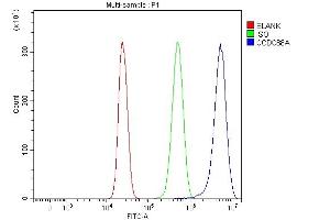 Flow Cytometry analysis of HepG2 cells using anti-CCDC88A antibody (ABIN7599868).