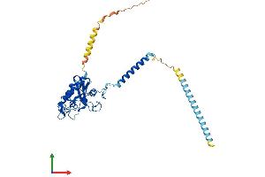 Protein Structure (PS) image for GLI Pathogenesis-Related 1 Like 2 (GLIPR1L2) (AA 1-344) protein (His tag) (ABIN7548222)