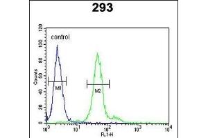 DDX23 Antibody (Center) (ABIN651059 and ABIN2840053) flow cytometric analysis of 293 cells (right histogram) compared to a negative control cell (left histogram). (DDX23 抗体  (AA 248-277))