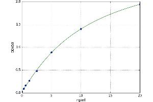 Macrophage Scavenger Receptor 1 (MSR1) ELISA Kit