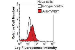 HeLa cells were fixed in 2% paraformaldehyde/PBS and then permeabilized in 90% methanol. (TWIST1 抗体)