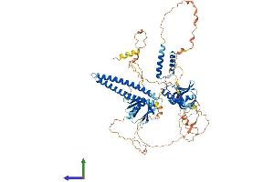 Protein Structure (PS) image for Actin Filament Associated Protein 1 (AFAP1) (AA 1-731) protein (His tag) (ABIN7558443)