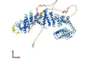 Protein Structure (PS) image for C-Maf Inducing Protein (CMIP) (AA 1-773) protein (His tag) (ABIN7553493)