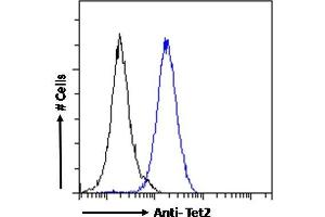 ABIN768637 Flow cytometric analysis of paraformaldehyde fixed NIH3T3 cells (blue line), permeabilized with 0. (TET2 抗体  (Internal Region))