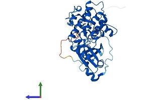 Protein Structure (PS) image for Protein Kinase, X-Linked (PRKX) (AA 1-358) protein (His tag) (ABIN7550986)