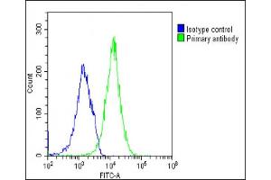 Overlay histogram showing U-2 OS cells stained with (ABIN6242977 and ABIN6577267)(green line). (TIM3 抗体)