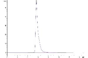 The purity of Human Nectin-2 is greater than 95 % as determined by SEC-HPLC.