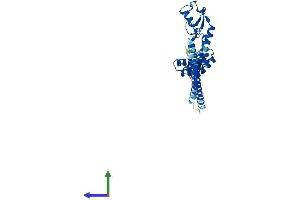 Protein Structure (PS) image for STIP1 Homology and U-Box Containing Protein 1 (STUB1) (AA 1-304) protein (His tag) (ABIN7565218)
