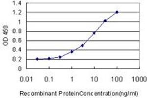 Detection limit for recombinant GST tagged HECTD1 is approximately 0. (HECTD1 抗体  (AA 3-110))