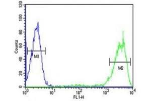 Flow Cytometry (FACS) image for anti-RAB5A, Member RAS Oncogene Family (RAB5A) (AA 182-211) antibody (ABIN3028967)