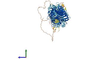 Protein Structure (PS) image for Solute Carrier Family 12 (Sodium/Chloride Transporters), Member 3 (SLC12A3) (AA 1-1002) protein (His tag) (ABIN7563475)