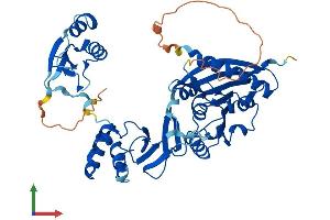 Protein Structure (PS) image for tRNA Methyltransferase 12 Homolog (TRMT12) (AA 1-448) protein (His tag) (ABIN7544891)