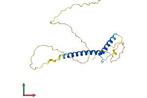 AlphaFold protein structure predicition of Mouse Recombinant Msc Protein, UniprotID O88940 (Musculin Protein (MSC) (AA 1-201) (His tag))