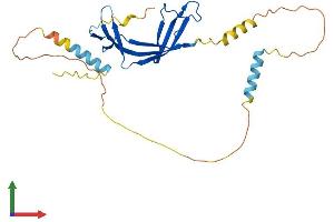 AlphaFold protein structure predicition of Mouse Recombinant Eaf2 Protein, UniprotID Q91ZD6