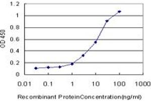 Detection limit for recombinant GST tagged CD97 is approximately 0. (CD97 抗体  (AA 421-529))