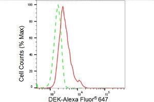 Flow cytometric analysis of DEK expression in HeLa cells using DEK antibody (ABIN7798303), 1:2,000). (Recombinant DEK 抗体)