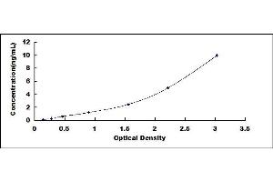 Typical standard curve (CCR4 ELISA 试剂盒)