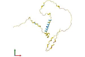 AlphaFold protein structure predicition of Human Recombinant C19orf84 Protein, UniprotID I3L1E1 (C19orf84 Protein (AA 1-186) (His tag))