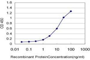 Detection limit for recombinant GST tagged MSMB is approximately 0. (MSMB 抗体  (AA 1-114))