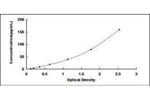 ELISA image for Chymotrypsin-Like Elastase Family, Member 1 (CELA1) ELISA Kit (ABIN424862)