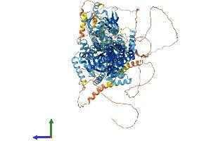 Protein Structure (PS) image for ATPase, Class V, Type 10D (ATP10D) (AA 1-1416) protein (His tag) (ABIN7564642)