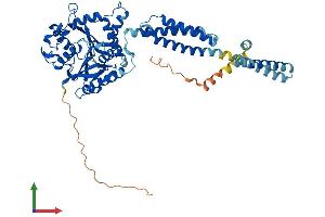 AlphaFold protein structure predicition of Human Recombinant ATL1 Protein, UniprotID Q8WXF7