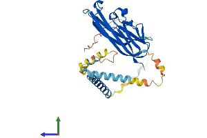 Protein Structure (PS) image for Tumor Necrosis Factor (Ligand) Superfamily, Member 11 (TNFSF11) (AA 1-317) protein (His tag) (ABIN7555801)