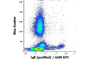 Flow cytometry surface staining pattern of human peripheral whole blood stained using anti-human IgE (4G7. (小鼠 anti-人 IgE Antibody)