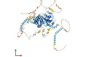 Protein Structure (PS) image for DEAD (Asp-Glu-Ala-Asp) Box Polypeptide 54 (DDX54) (AA 1-874) protein (His tag) (ABIN7559578)